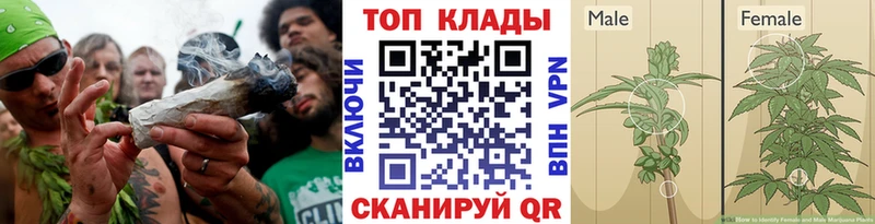 Сколько стоит Теберда А ПВП  kraken вход  МЕФ  МАРИХУАНА  Бутират  Cocaine  Амфетамин 