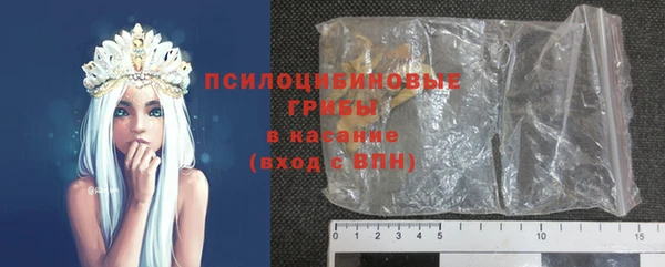 стаф Зеленокумск