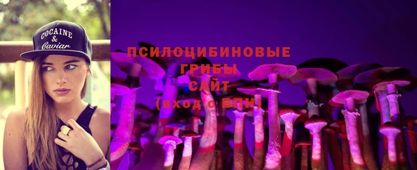 гашик Фёдоровский