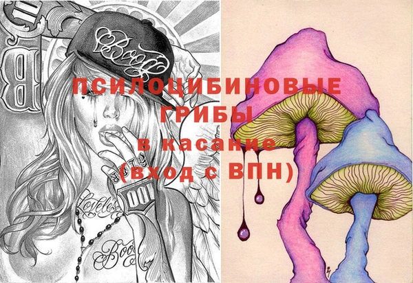 стаф Зеленокумск